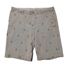 Old Navy Ultimate Slim Shorts Mens 36 Pineapple Print Chino Flat Front Stretch