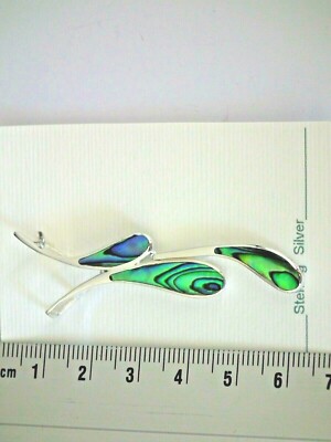 Pendentif coquillage Paua abalone - Maori de Nouvelle-Zélande, collier irisé - France
