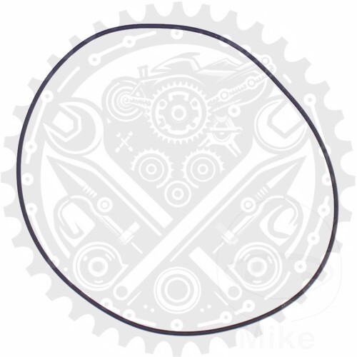 New Athena Cylinder Head Gasket O-Ring Fits Gas Gas EC 300 Replica Nambotin