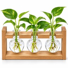 Glass Plant Propagation Station, 3 Glass Bulb Vases