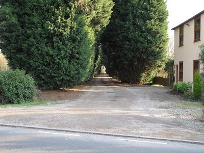 Photo A2 Tree lined path Bradwell on Sea Public footpath to Bradwell Hal c2012