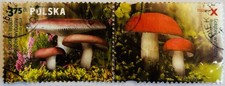 Poland 2012 Polish Forest Mushroom Stamps Cancelled