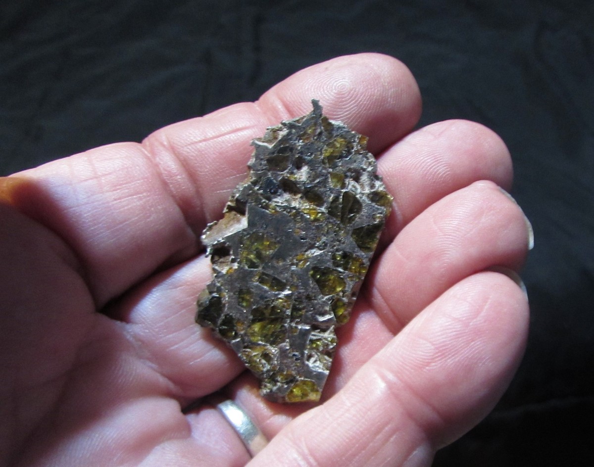 Brenham Pallasite Meteorite Olivine Slice 15.4 G | eBay