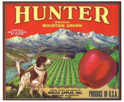 ORIGINAL APPLE CRATE LABEL VINTAGE 1940S HUNTER RED WENATCHEE POINTER DOG PUP