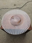 Vntg Cake Platter Anchor Hocking Pink Glass Large 12" Made in USA 1930's