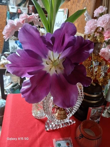 1 Gram Silver Bar - Mint Varies - .999 Fine