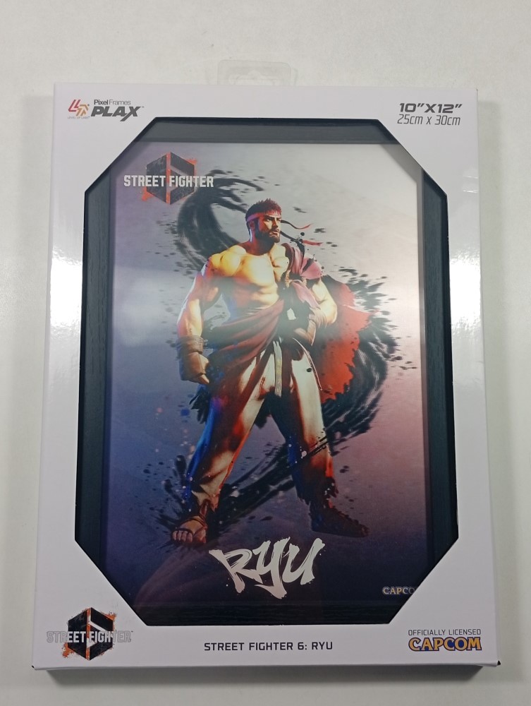Pixel Frames Street Fighter 6 Ryu tableau relief deco chambre joueur console
