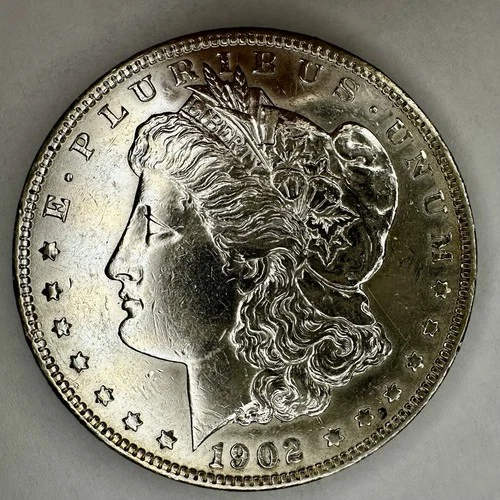 1902-P Morgan Dollar — photo from another recent sale