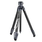 NEEWER LT32D 62" Carbon Tripod w/360° Head, Arca QR, 15° Leveling