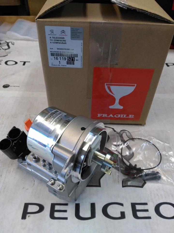 MOTORE NEW SERVOSTERZO CITROEN C3 PICASSO PEUGEOT 207 6700001531 NUOVO Foto 2 de 2