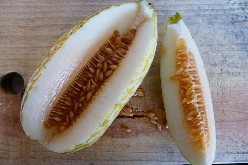 VALEYRAC EXOTICS Voatango Melon from Madagascar - 5+ graines - graines - Cm 036