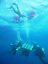 thumbnail 3 - BEYOND BLUE &#034;Journey into the Deep&#034; - NUNO GOMES Autobiography of a Deep Diver 