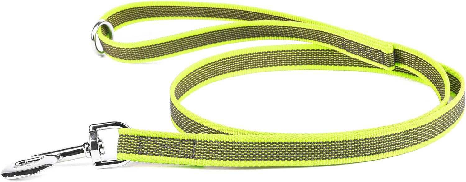 Julius-K9, Guinzaglio Color & Gray con manico e anello, 20 mm x 1,2 m, neon