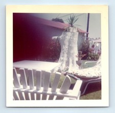 Antigua foto vintage cuadrada color tocón árbol silla adirondack dedo en marco