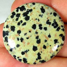 38.30Cts Natural Gorgeous Dalmatian Jasper Round Cab 31x31x4mm Losse Gemstone