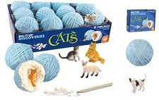 Dig It Up Discoveries: Cats   Party-Sized 12-Pack of Educational Discovery