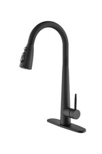High Arc Single Handle Kitchen Faucet Pull Down Sprayer
