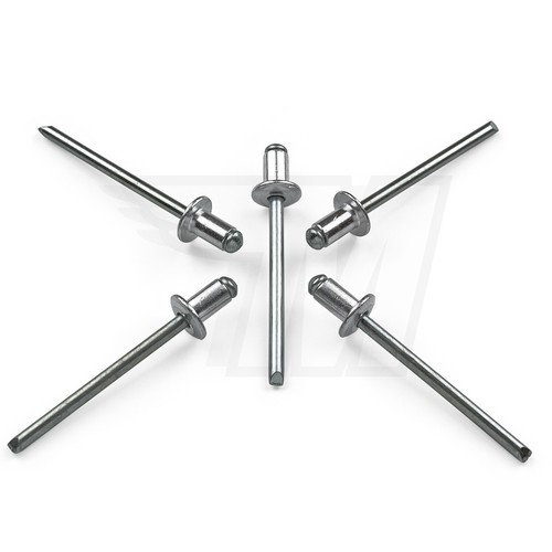 Rivetti a Rosetta in Alluminio, 8 Pezzi Rivetti a Rosa Auto in Alluminio Antiruggine Rivetti a Forma di Rosa per TAG PORTA AMC VIN Tutti i Veicoli (SILVER