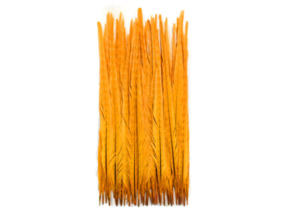 10 Pieces - 18-22'' Golden Yellow Bleached and Dyed Long Ringneck Pheasant Tail F