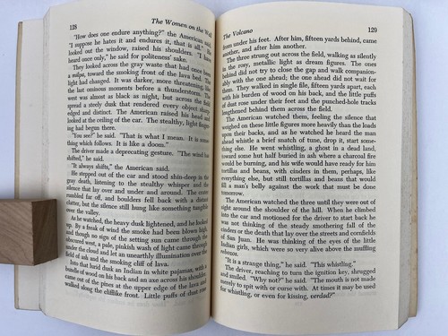 1962 Wallace Stegner the Women on the Wall Compass Books Edition C105 - Picture 2 of 5