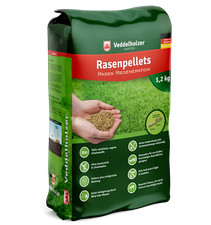 Rasenpellets Regeneration Rasensamen Grassamen robusten widerstandsf&auml;higen Rasen