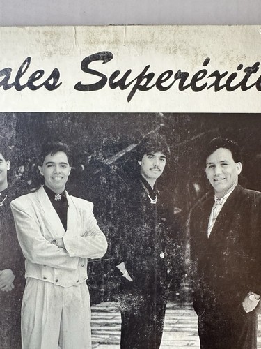 Los Temerarios - 20 Reales Superexitos (1 x LP, Vinyl, 1990 MX, G+) - Picture 10 of 22
