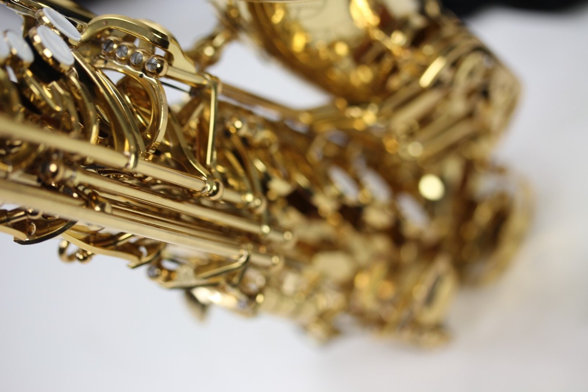 Giardinelli BRAND NEW GAS-10 Intermediate Alto Saxophone with all