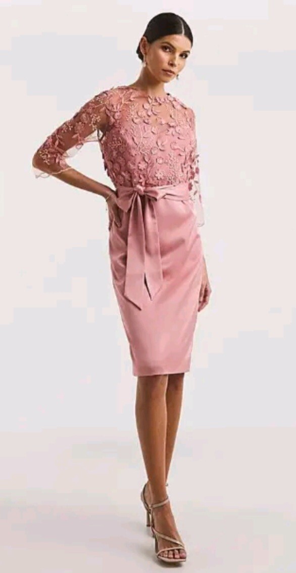 Joanna Hope Mother Of Bride Dress Blush Uk14 Mesh Top Embroidered 0W698 R64 
