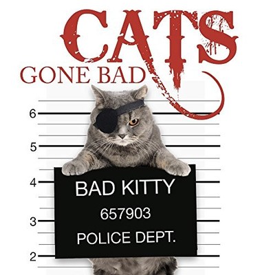 Cats Gone Bad (Mini Gift) by Kat Scratching Hardback Book The Fast Free Shipping