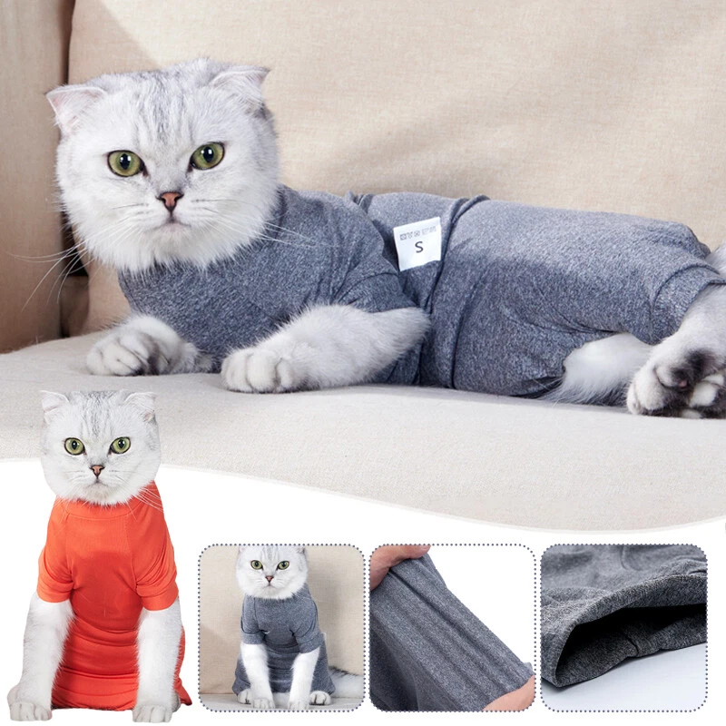 Mono para mascotas body de recuperación para gatos después de la cirugía ropa suave para gatos chalecos ropa para el hogar Foto 2 de 4