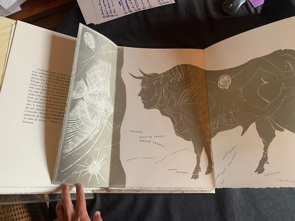 Pierre-Yves Trémois / Yves Christen - Griffures et Morsures – Vision Nouvelle - Photo 4/4