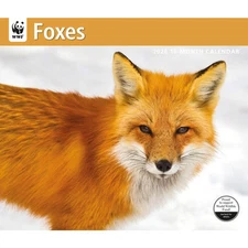 Carousel Calendars,  Foxes WWF 2026 Wall Calendar, 12.01'' X 14.09'', 16-Month C