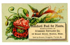 Trade Card Plant Food Standard Fertilizer Boston MA Bird -9699