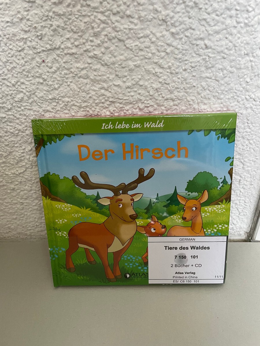 6 Stück Waldtier-Figuren Set: Realistische Mini-Tiere Zum Spielen & Dekorieren – Hirsch, Fuchs, Hase & Mehr