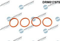 Dr.Motor Automotive DRM01757S Dichtungssatz, AnsaugkrüMmer For CitroËN Fiat Peug