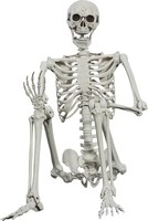 Halloween-Skelett 165Cm LebensgrößE Posable Menschliches Skelett Dekoration