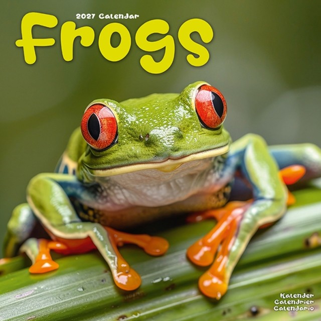 Frogs 2027 Calendar | Square Wall Calendar | Reptile Gift | Plastic Free Packaging | by Avonside Publishing - Image 2