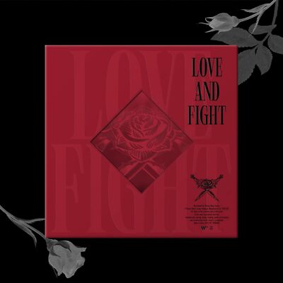 Love  Fight