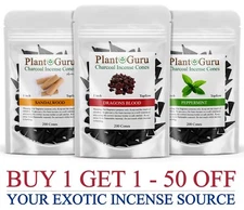 200 Charcoal Incense Cones 1" TOPFLOW Bulk Wholesale For Burner Holder Variety