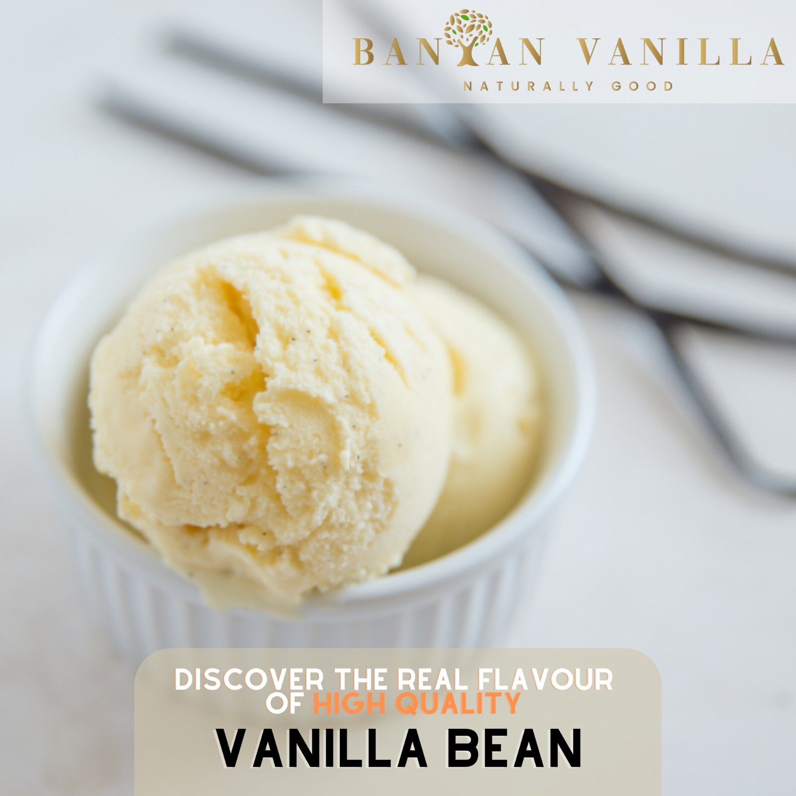 VANILLA BEANS PLANIFOLIA/ BOURBON GRADE C, EXTRACT QTY, 200g Free Ship