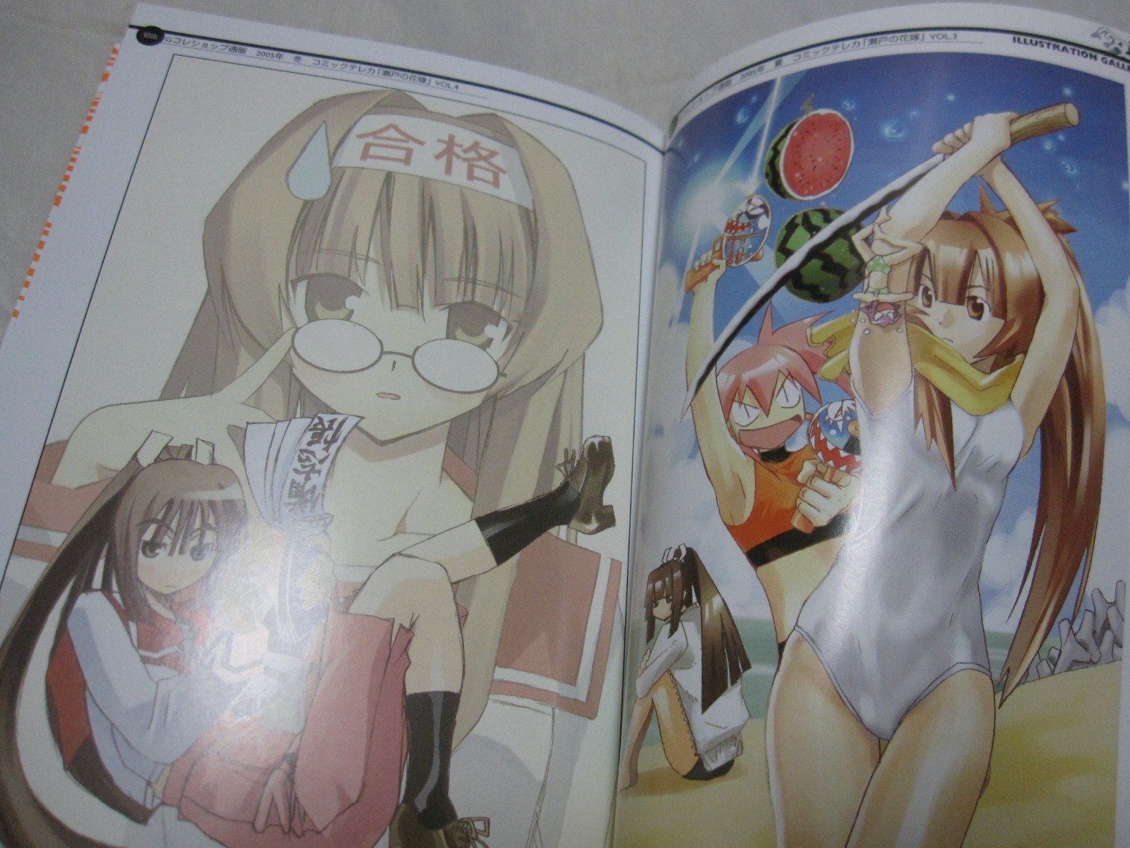 USED Seto no Hanayome Official Guide Book Sakura Japanese Manga Kimura Tahiko