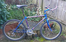 Raleigh Dyna-tech Diablo 1992 MTB