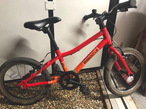 pinnacle 16 inch bike