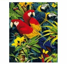 Paint By Numbers Kit Parrot Animals 40CMx50CM Canvas