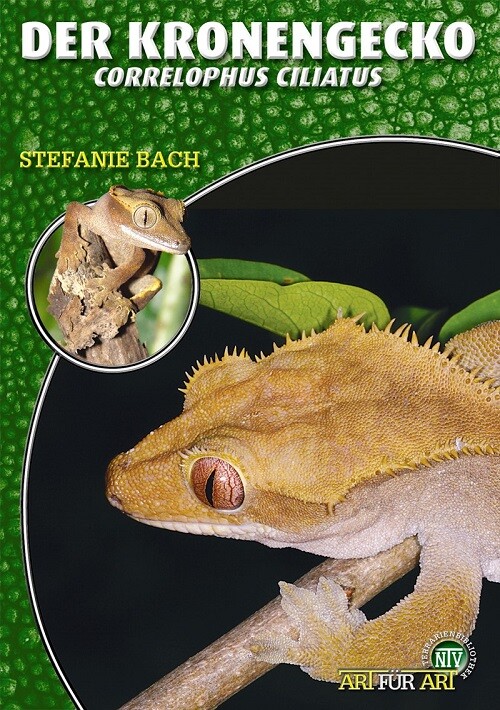 Thumbnail - Stefanie Bach / Der Kronengecko
