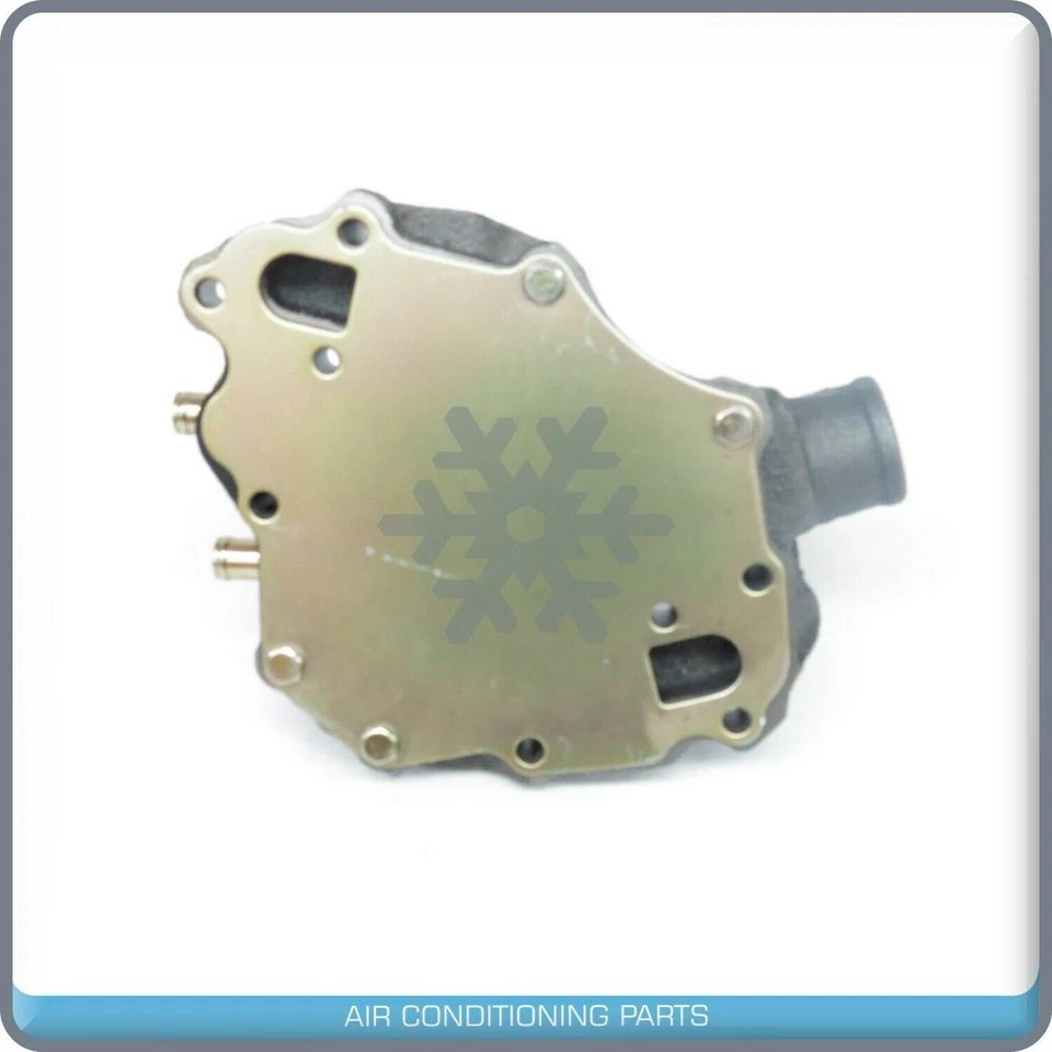 AW953 Nueva bomba de agua con junta para Ford Mustang LTD F-150 F-250 Econoline V8 Foto 4 de 4