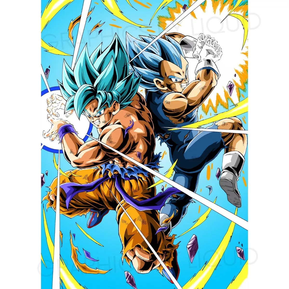 Dragon Ball Z Goku Vegeta Super Saiyan Blue Japanese Manga Poster