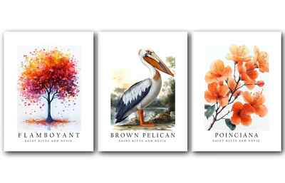 Saint Kitts and Nevis National Symbols, Set of 3 Poster Prints, Unframed