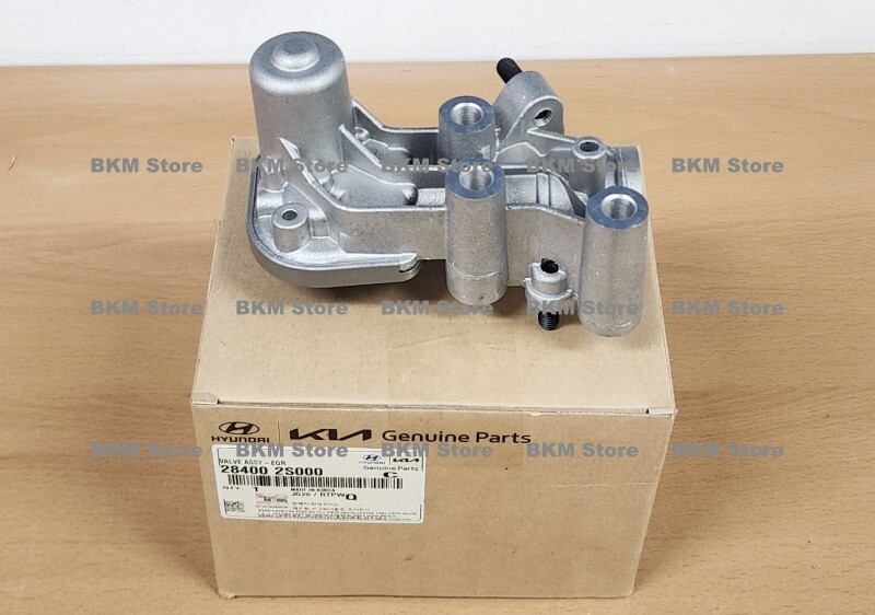 G様 Genuine 284002S000 EGR Valve Assy for Sonata, Santa Fe, Tucson