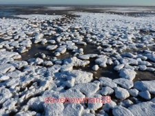 PHOTO  FROZEN SPUME AT THE HIGH TIDE MARK - 2 CLOSE-UP DETAIL OF FROZEN GOBBETS